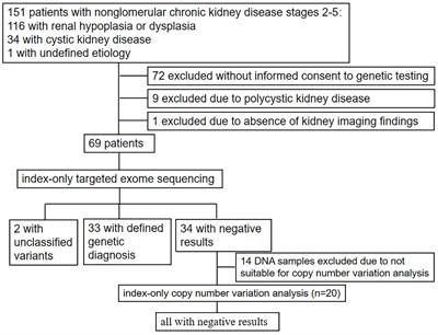 Spectrum of Mutations in Pediatric Non-glomerular Chronic Kidney Disease Stages 2–5